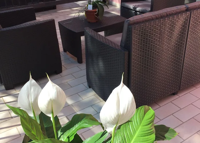 Storione 3* Lido di Jesolo