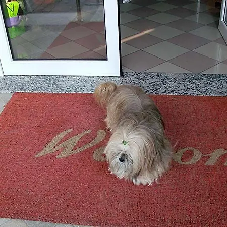 Storione 3*